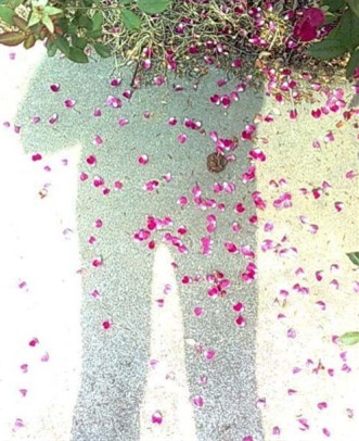 說(shuō)明: http://www.elegantliving.cn/atta/1345599786500.jpg