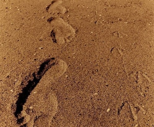 說(shuō)明: http://www.elegantliving.cn/atta/1345599635438.jpg